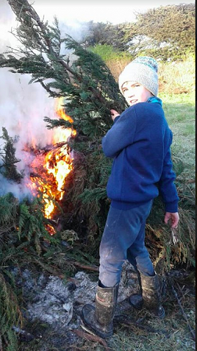 Sam helping on the farm. 