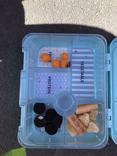 Litter free lunch box