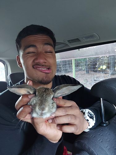 Norman with what the dog left