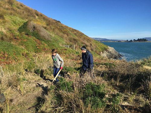 Planting for Penguins