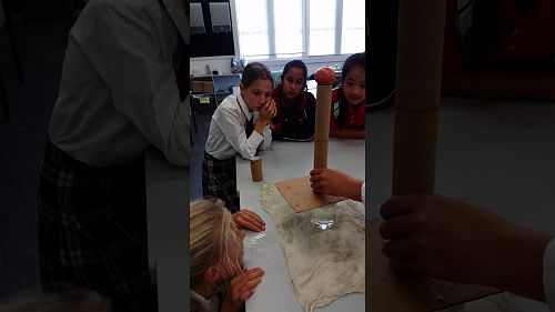 Video: egg xeptional