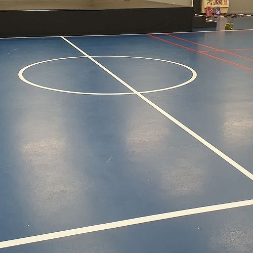 Basketball and badminton court markings