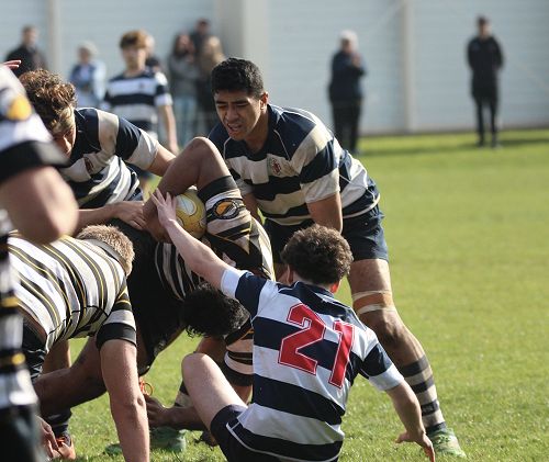 2nd XV vs New Plymouth Boys' High School