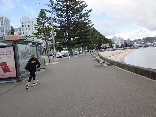 Year 9 Adventure Race - Oriental Parade