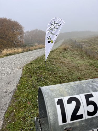 2023 Olive Community Pressing Day - foggy start