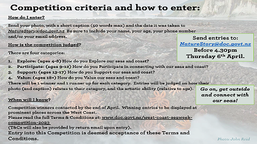 Seaweek Photo Competition