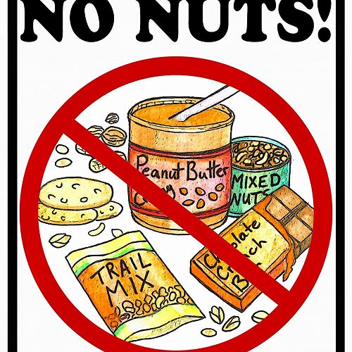 Nut Allergy - No Nuts