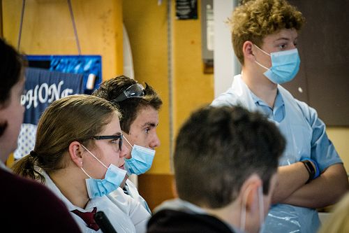 Penguin nasal mite class