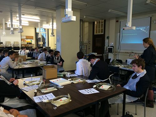 The respiratory laboratory