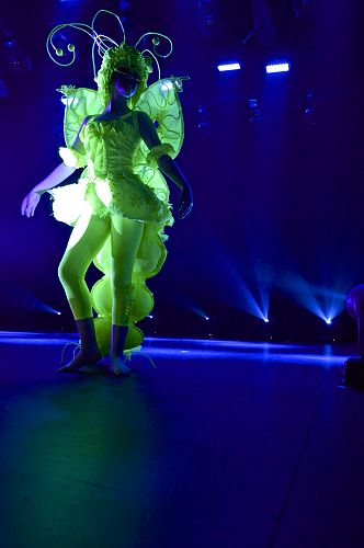 "Don't BugMe"  by Robyn Valentine