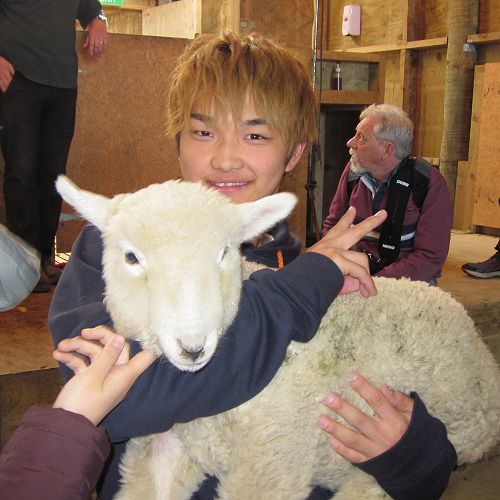 International Summer School