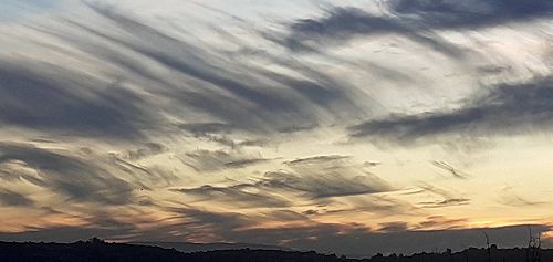 Inter-House Photography Competition