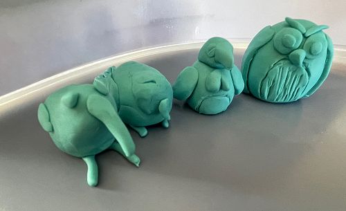 NZSL Hub Birds playdough