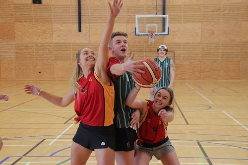 Experience vs Rookies