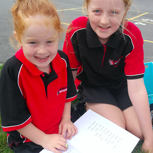 Te Rito Harakeke - Marshland School