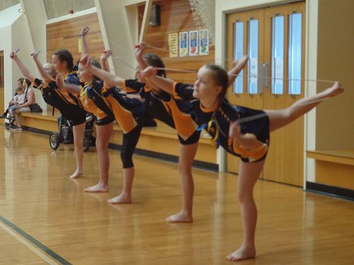 Gymnastics Festival 2016