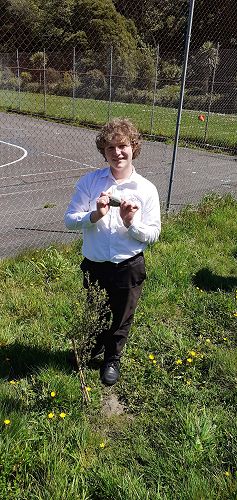 Les Manuka de la quatrième