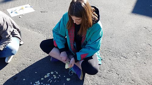 Year 13 Biology - Evolution 