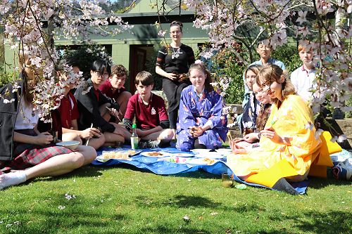 Year 10 Japanese Hanami picnic