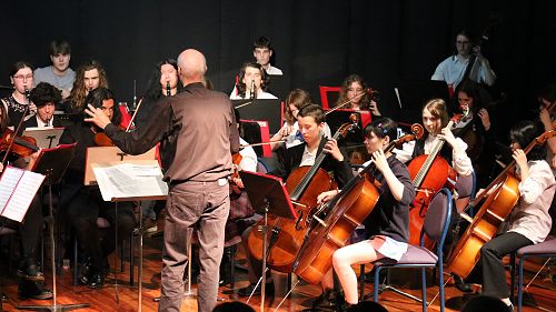 Orchestra Performance