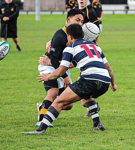 PNBHS Colts Rugby v Wellington College 