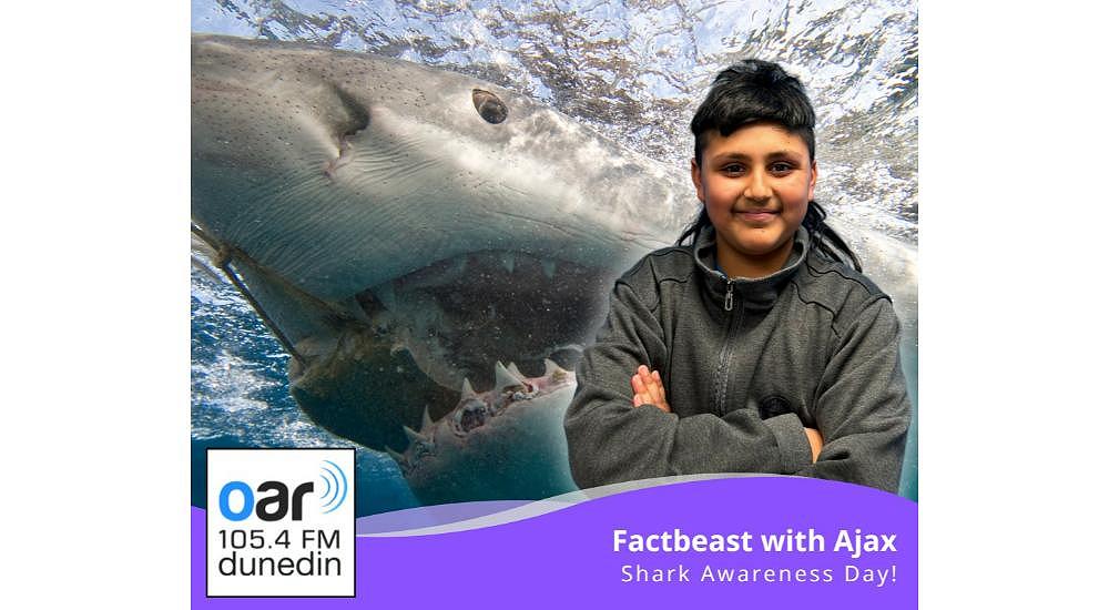 Happy Shark Awareness Day!