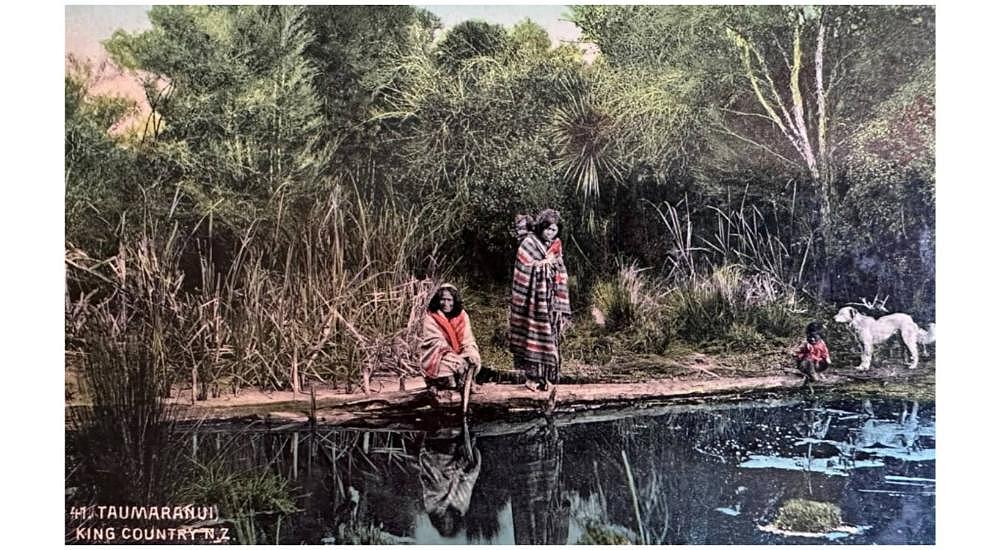 Postcard that made its way back to Dunedin home after 116 years