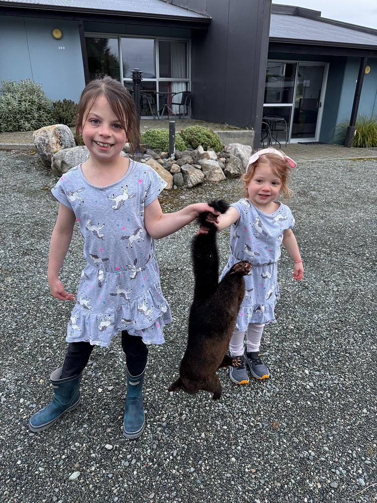 One more possum down.