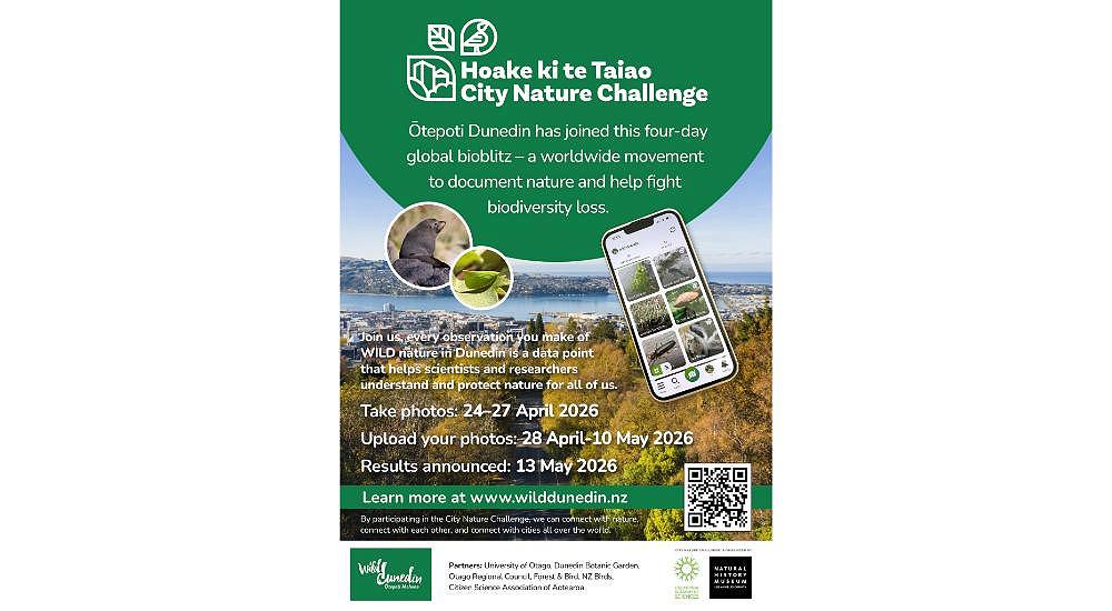 Hoake ki te Taiao City Nature Challenge