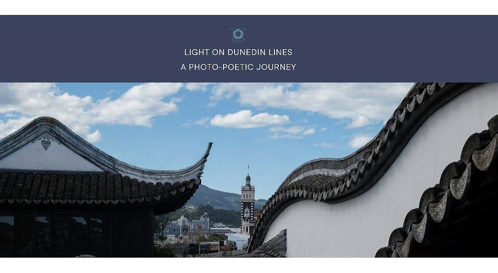 Introducing 'Light on Dunedin Lines'