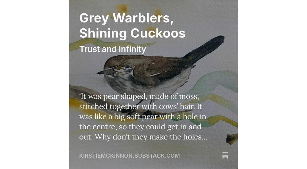 Grey Warblers, Shining Cuckoos: Trust and Infinity