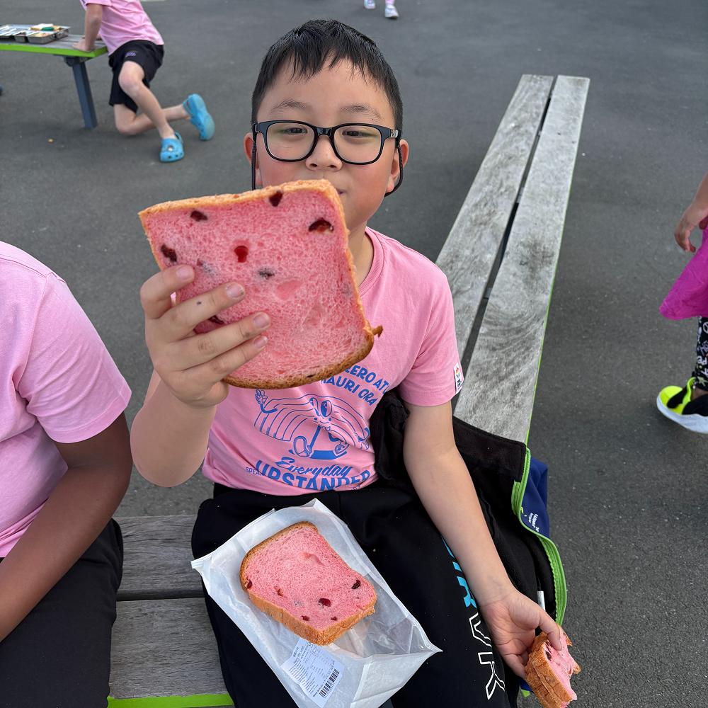 KSS eNewsletter #7 2025