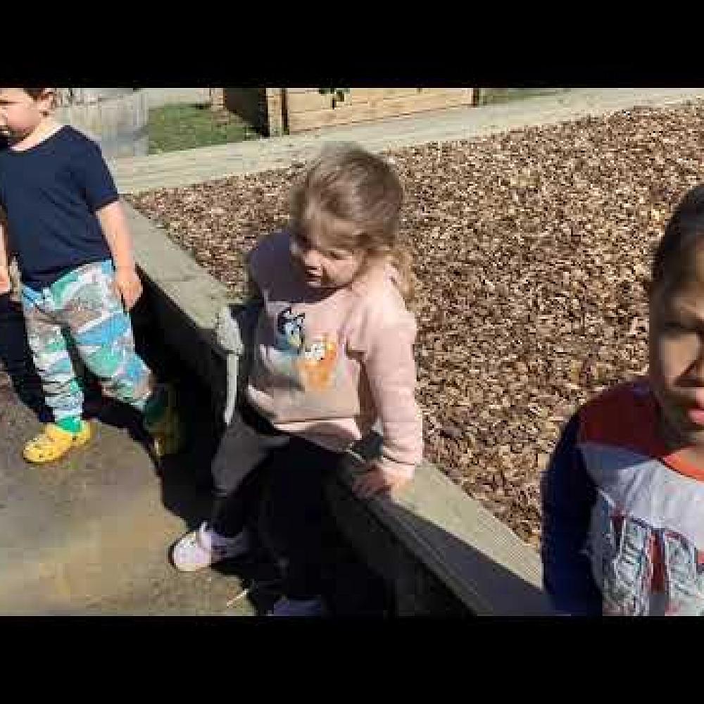 Video: Watching the busy bees