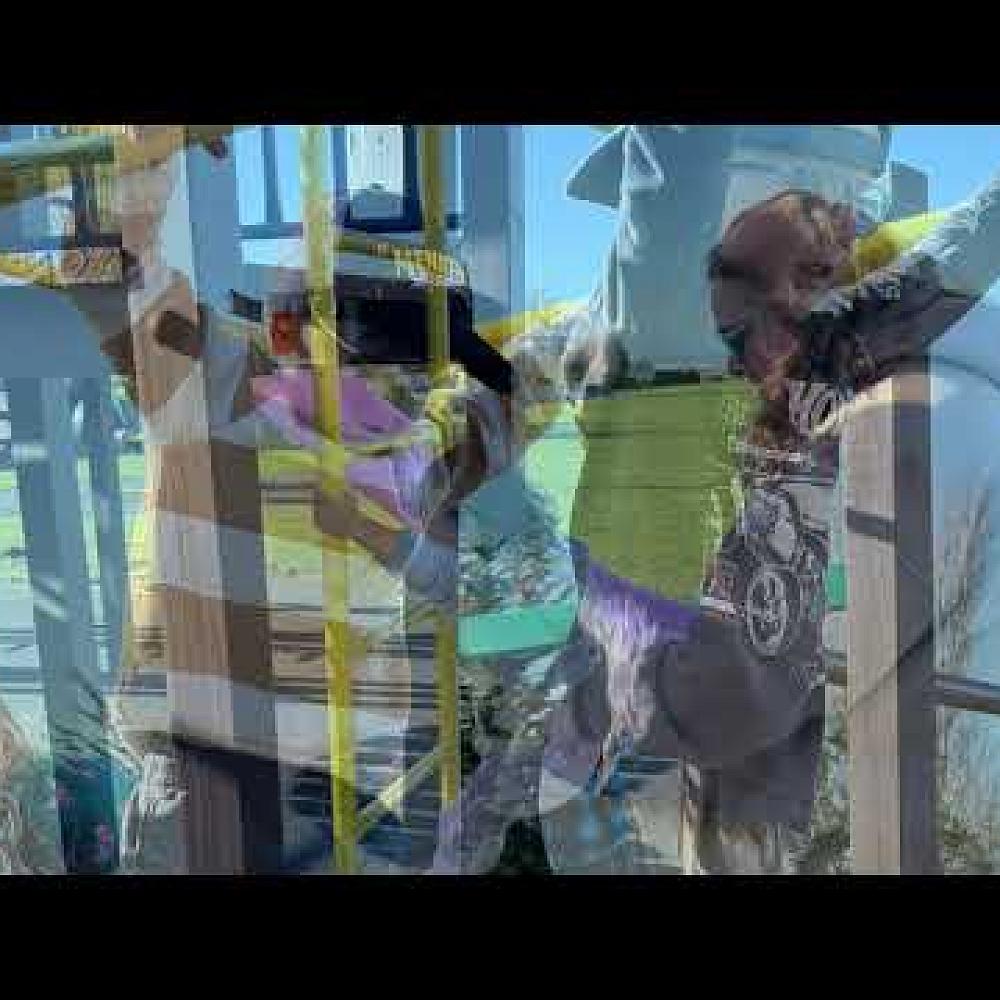 Video: Playground visit