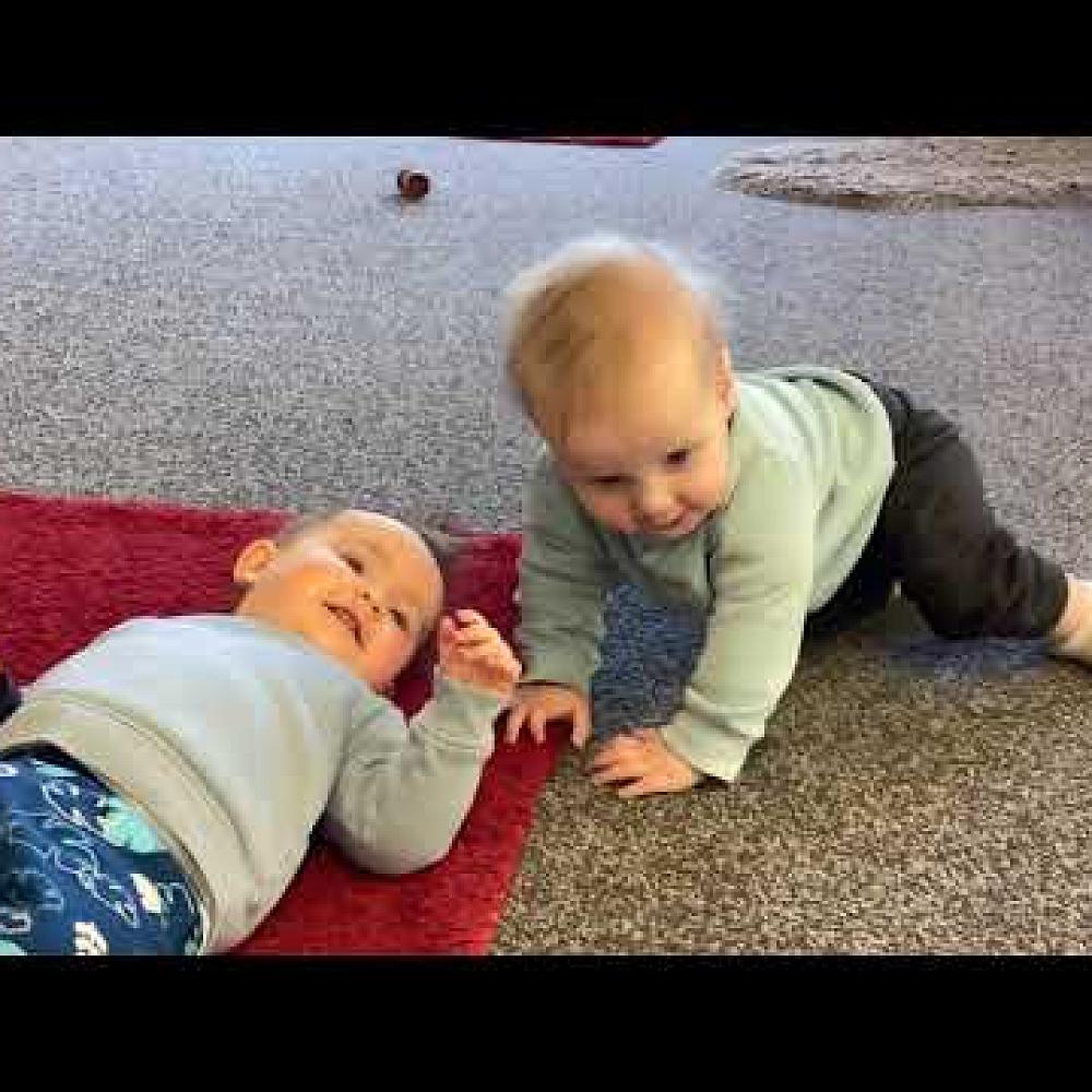 Video: Ti kouka facebook