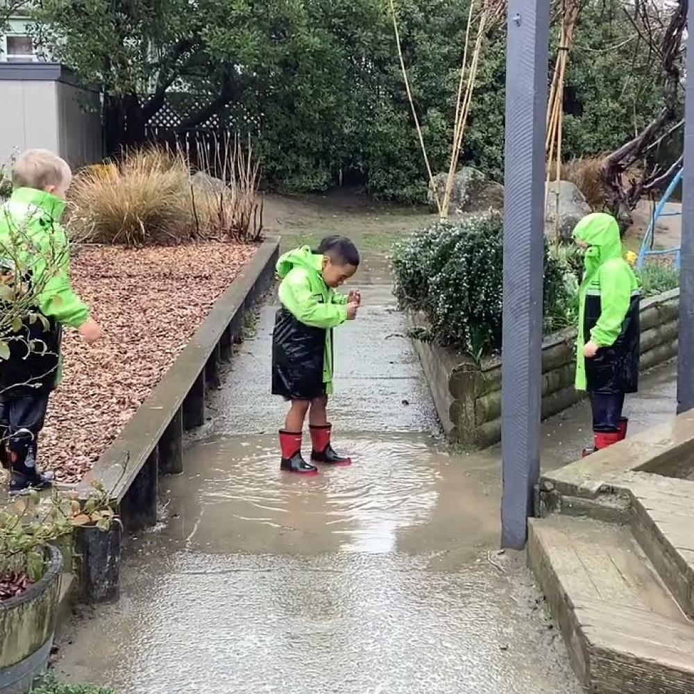 Video: Video 26 08 2024, 4 08 34 PM