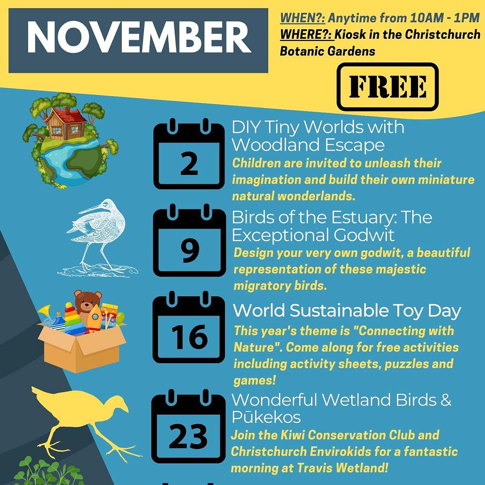 free-upcoming-events-november-friday-8th-november-2024-newsletter