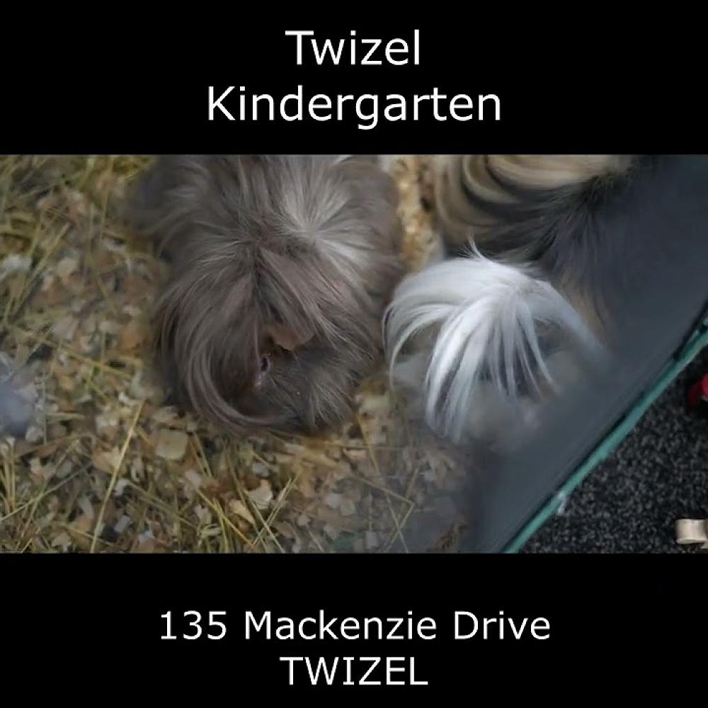 Video: Twizel Kindergarten
