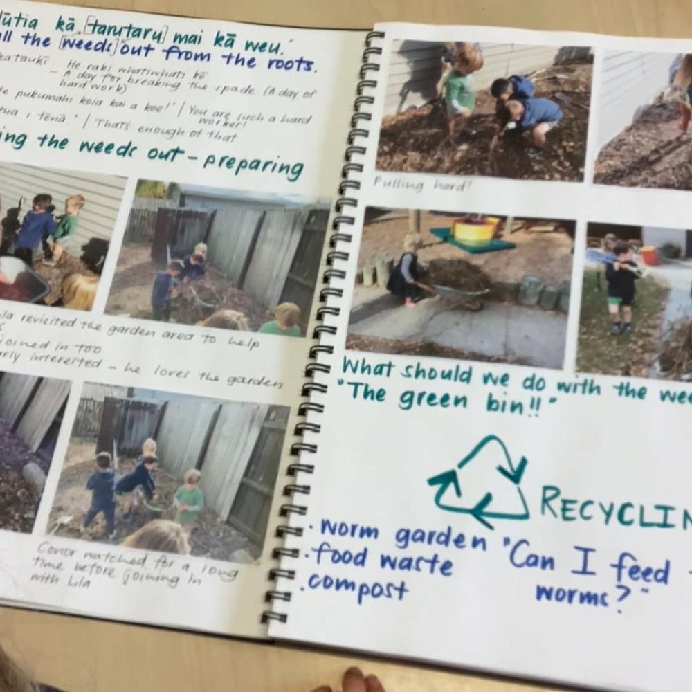 Video: Bee Project Update