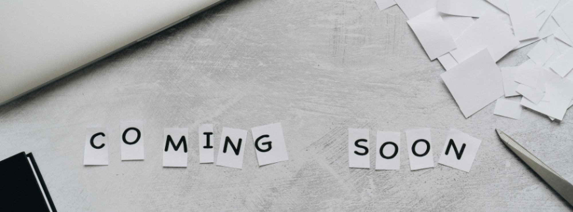 Website Launch