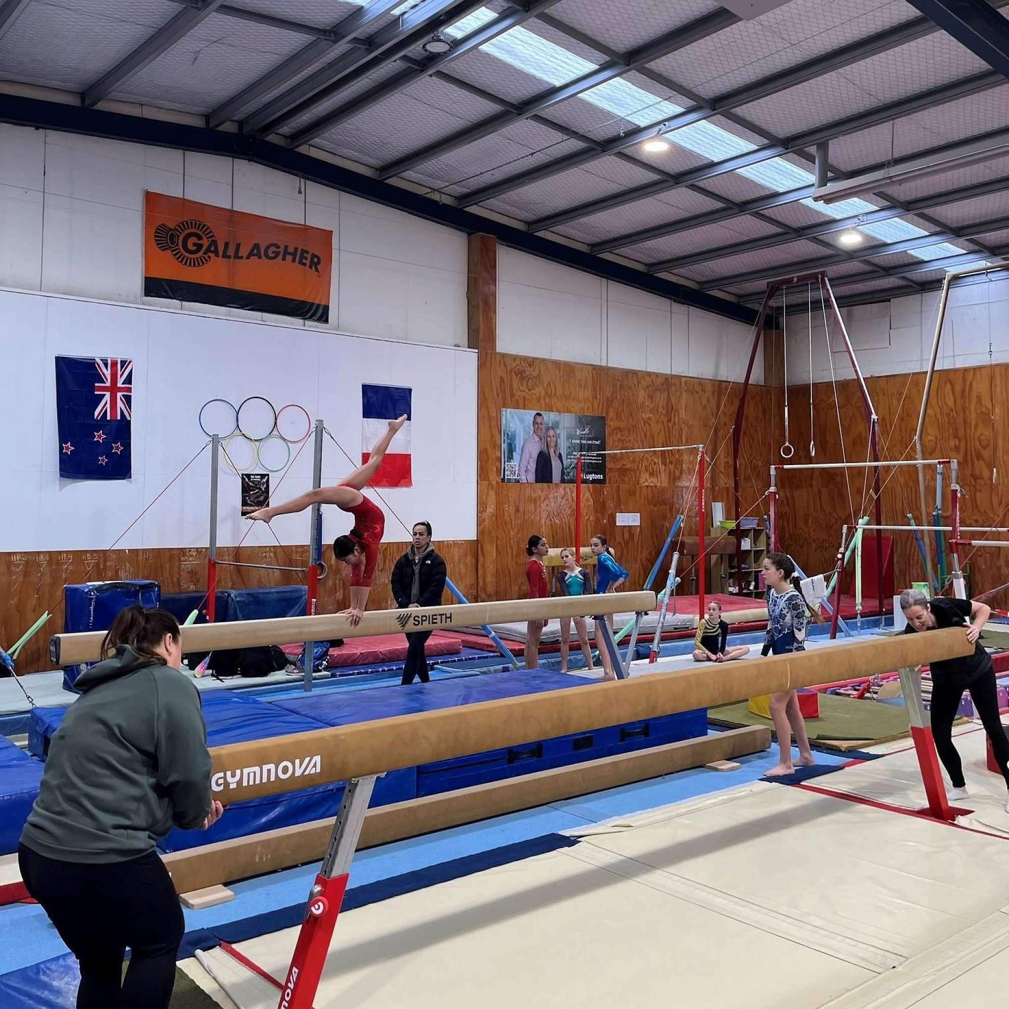 Waikato Gymsports Festival