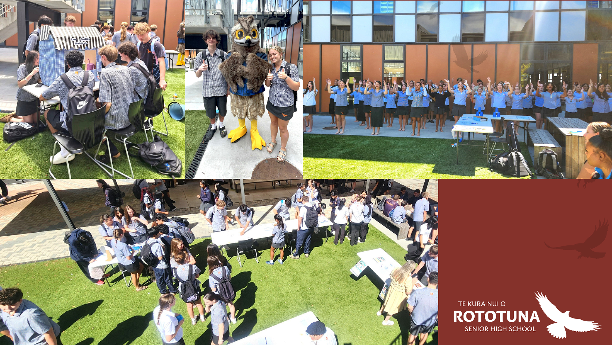 RSHS Newsletter - Term 1, Issue 2