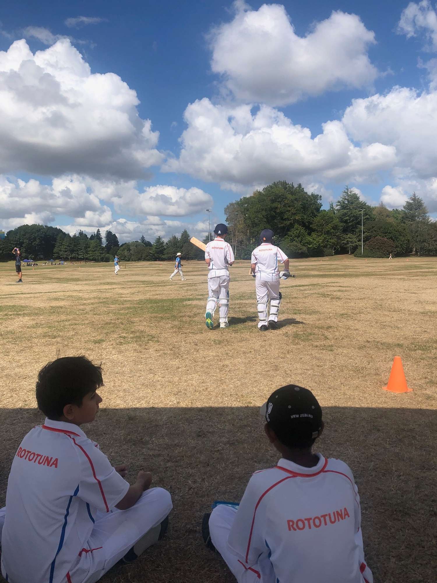Cricket Season Underway! + WIMS