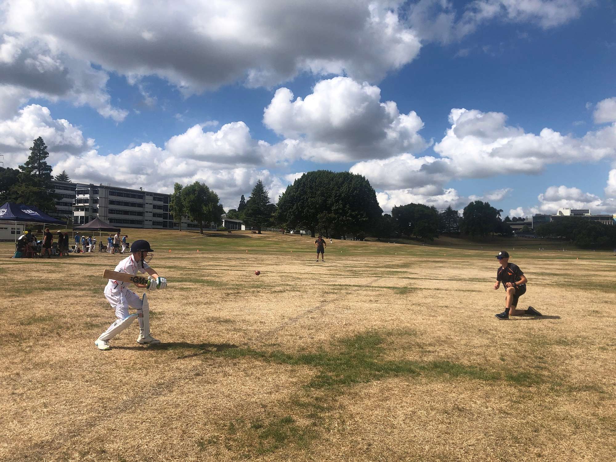 Cricket Season Underway! + WIMS