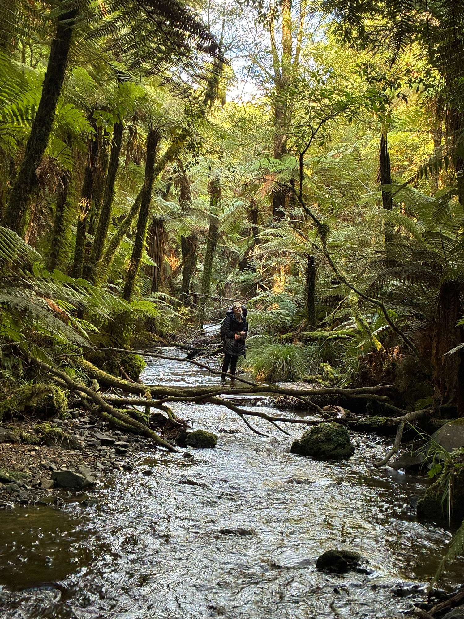 Mastery Outdoor Education