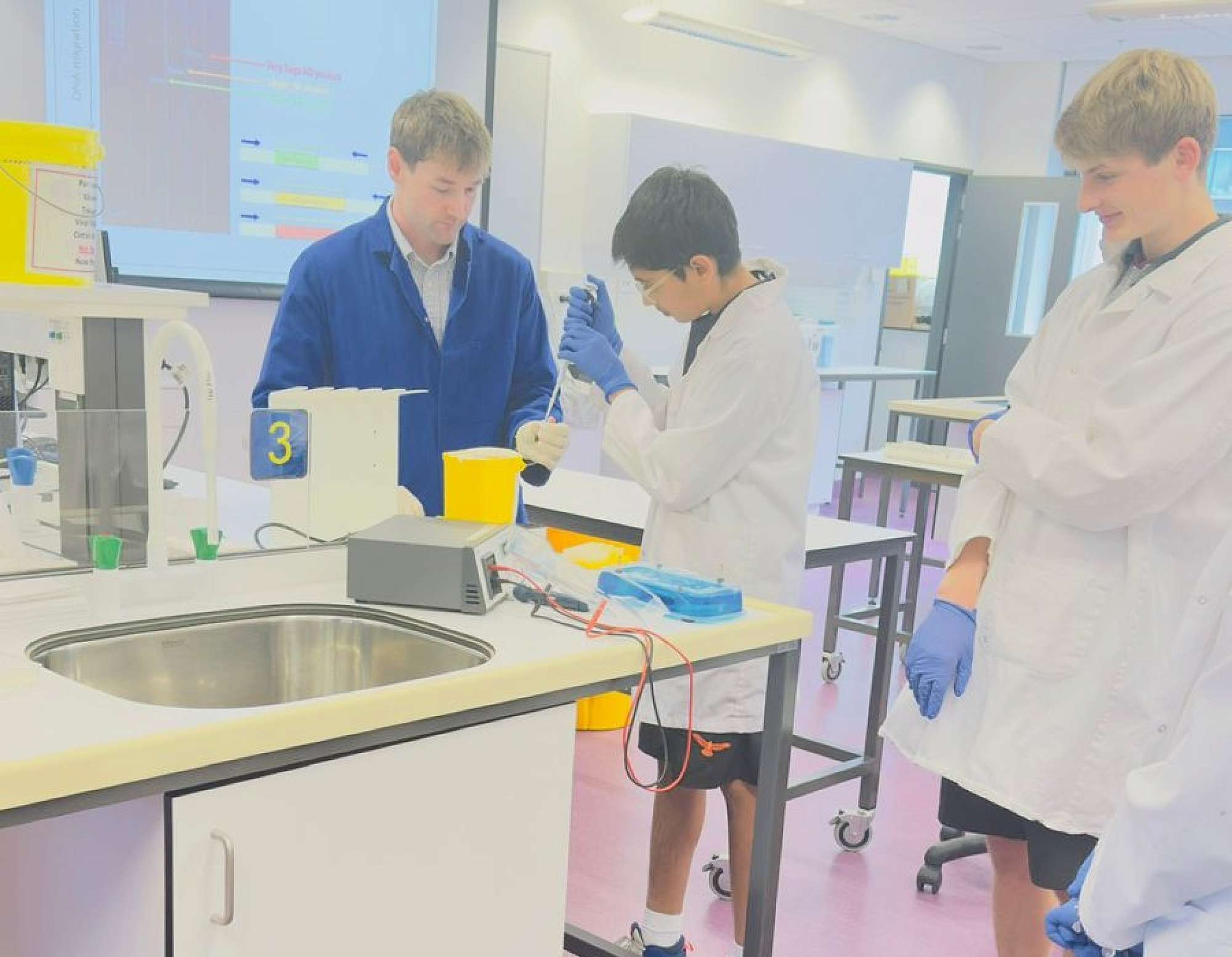 Brain Bee Internship