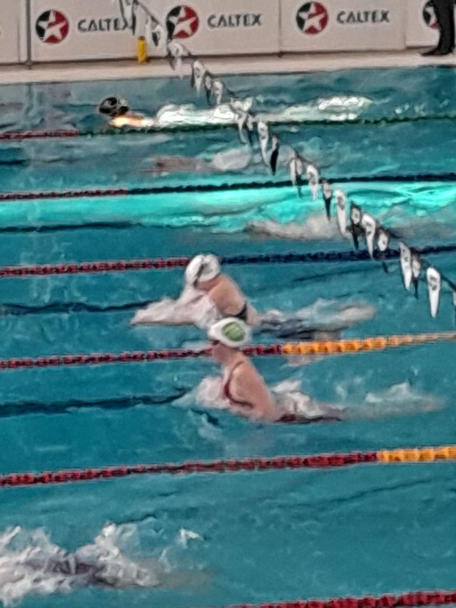NZSS Swimming Championships