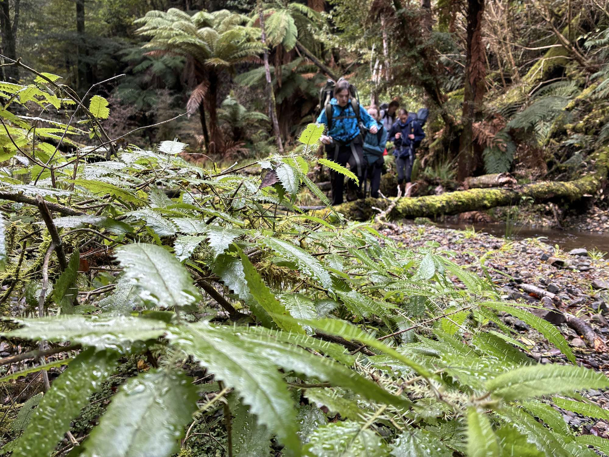 Mastery Outdoor Education