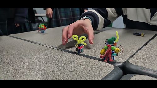 Video: Bristlebots
