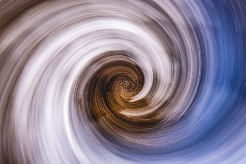 Snow Tussock by Clive Copeman. All rights reserved.